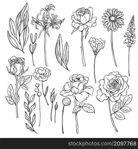 Hand drawn flowers on white background. Roses, gerbera, eustoma. Vector sketch illustration.. Hand drawn Roses, gerbera and eustoma. Vector illustration.