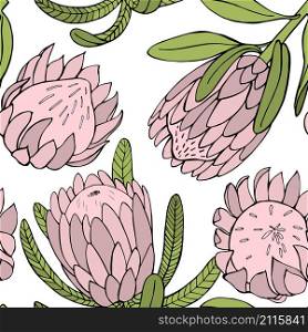 Hand-drawn flowers protea. Vector seamless pattern