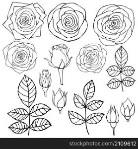 Hand drawn flowers. Roses. Vector sketch illustration.. Hand drawn flowers. Roses. Vector illustration.