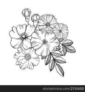 Hand drawn flowers. Vector sketch illustration.