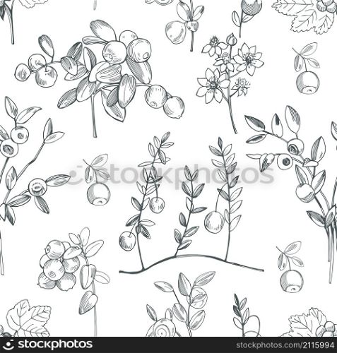 Hand drawn forest berry. Vector seamless pattern .