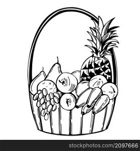 Hand-drawn fruit basket on white background.Vector sketch illustration.. Fruit basket. Vector illustration