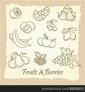 Hand drawn fruits and berries. Popular hand drawn fruits and berries on vintage notebook page. Vector illustration