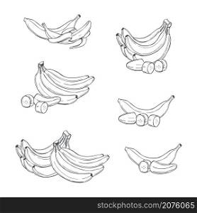 Hand drawn fruits. Bananas on white background. Vector sketch illustration.. Bananas. Vector illustration.