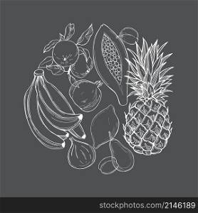 Hand drawn fruits in a circle on grey background. Vector sketch illustration.. Hand drawn fruits. Vector sketch illustration.