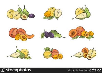 Hand drawn fruits on white background.Peaches, apricots, apples, pears and plums. Vector sketch illustration. . Hand drawn fruits. Vector illustration.
