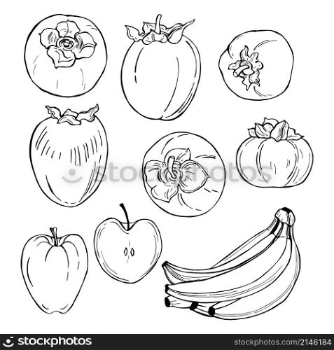 Hand drawn fruits on white background.Persimmon, apple, banana. Vector sketch illustration.. Hand drawn fruits. Vector sketch illustration.