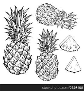 Hand drawn fruits on white background. Pineapple. Vector sketch illustration.. Hand drawn fruits. Vector sketch illustration.
