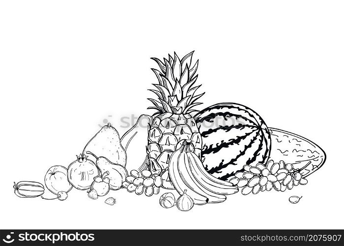 Hand drawn fruits on white background.Vector sketch illustration.. Graphic fruits .Vector illustration.