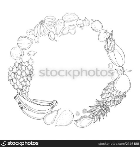 Hand drawn fruits on white background. Vector sketch illustration.. Hand drawn fruits. Vector sketch illustration.