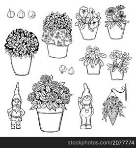 Hand drawn garden flowers and gnomes on white background. Vector sketch illustration.. Hand drawn garden flowers. Vector sketch illustration.