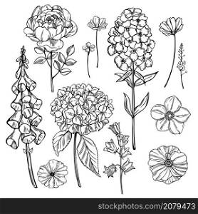 Hand drawn garden flowers on white background. Vector sketch illustration.. Hand drawn garden flowers on white background. Vector sketch illustration.