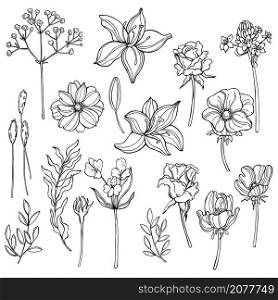 Hand drawn garden flowers. Vector sketch illustration. . Garden flowers. Vector illustration.