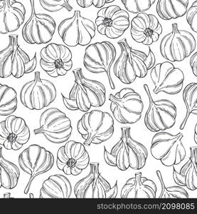 Hand drawn garlic on white background. Vector seamless pattern. Vector seamless pattern with garlic