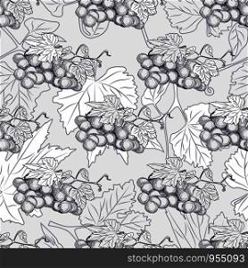 Hand drawn grape bunches and leaves seamless pattern. Design for fabric, vintage packaging, wrapping paper. Engraving style.Vector illustration. Hand drawn grape bunches and leaves seamless pattern.