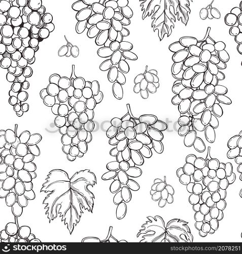Hand drawn grapes on white background. Vector seamless pattern. . Grapes on white background. Vector pattern.