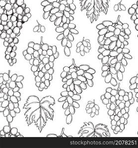 Hand drawn grapes on white background. Vector seamless pattern. . Grapes on white background. Vector pattern.