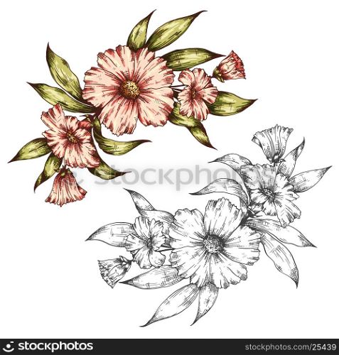 Hand drawn graphic floral bouquet vector illustration. Can be used for greeting card, posters, flyers, brochures, invitation, wedding and save the date template design cards