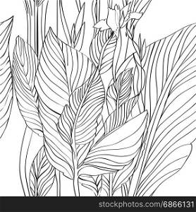 hand drawn graphic patern over white, canna plant leaves illustration