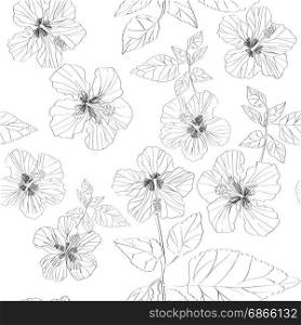 Hand drawn graphic pattern with Hibiscus flowers illustrations over white