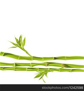 Hand-drawn green bamboo bacground with space for text. Easily editable vector illustration. Hand-drawn green bamboo bacground with space for text