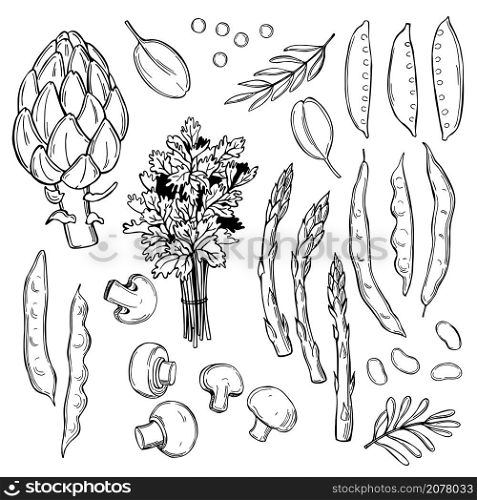 Hand drawn green vegetables and Champignon mushrooms on white background. Vector sketch illustration. . Sketch vegetables. Vector illustration