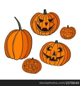 Hand drawn Halloween pumpkins. Vector sketch illustration.. Halloween pumpkins. Vector illustration.