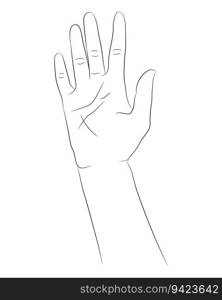 Hand drawn hand isolated on white background. Hand drawn female hand linear sketch. Black silhouette on white background. Vector illustration