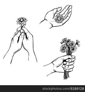 Hand-drawn hands with flowers. Vector sketch  illustration. . Hands with flowers. Sketch  illustration. 