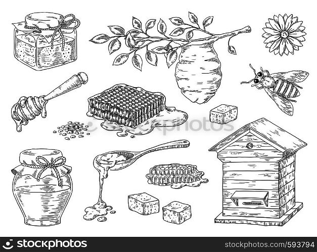 Hand drawn honey. Vintage bee honeycomb and honey jar sketch elements, doodle flowers and beeswax. Vector organic sweet honey product. Hand drawn honey. Vintage bee honeycomb and honey jar sketch elements, doodle flowers and beeswax. Vector organic honey product