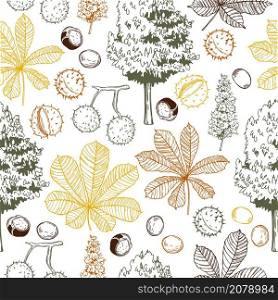 Hand drawn horse chestnut leaves and fruits on white background. Vector seamless pattern.. Horse chestnut leaves and fruits . Vector pattern.