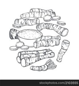 Hand drawn horseradish in a circle. Vector sketch illustration.