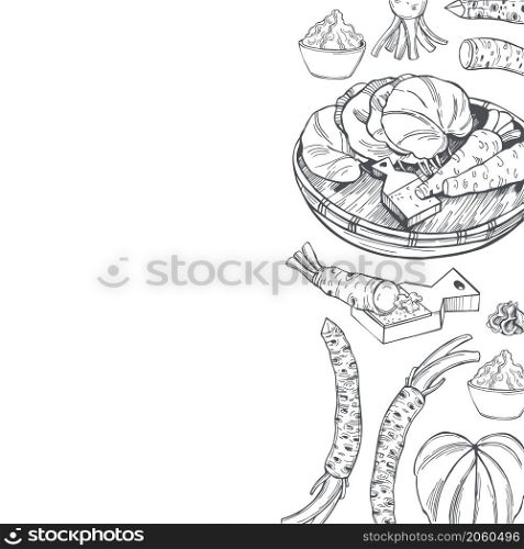 Hand drawn horseradish wasabi, root and leaves. Sketch illustration.Vector background.. Wasabi, root and leaves. Vector background.