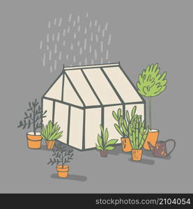 Hand drawn house plants and greenhouse. Vector sketch illustration.. Hand drawn house plants. Vector sketch illustration.