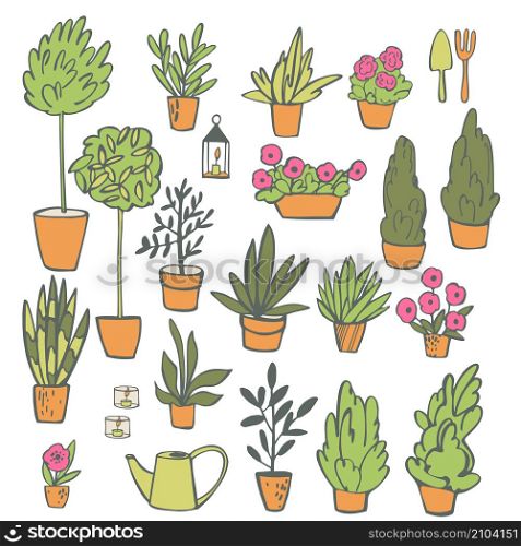 Hand drawn house plants. Vector sketch illustration.