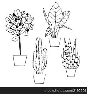 Hand drawn houseplants. Vector sketch illustration.