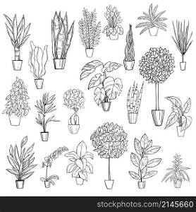 Hand drawn houseplants. Vector sketch illustration.