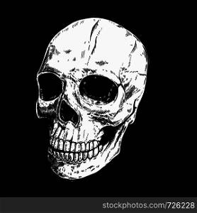 Hand drawn human skull on dark background. Design element for logo, label, sign, pin,poster, t shirt. Vector illustration