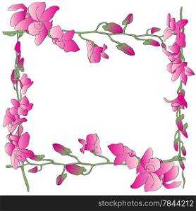 Hand drawn illustration of a greetings card or cover with long orchids frame over white