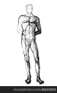 Hand drawn illustration of a man in a standing position, original artistic pen sketch over white