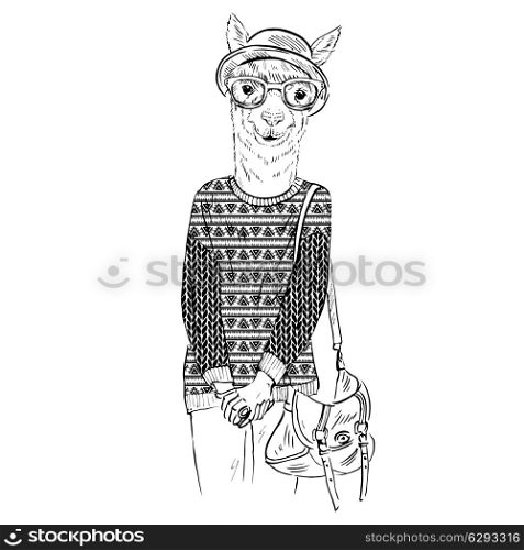 Hand drawn illustration of hipster alpaca dressed up in jacquard pullover. Hand drawn illustration of alpaca dressed up in jacquard pullover