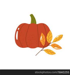 Hand drawn illustration of pumpkin and twig with leaves. Autumn composition. Hand drawn illustration of pumpkin and twig with leaves