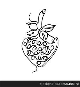 Hand drawn illustration. vector fruit slice. illustration, strawberry vector, lineart of fruit slice.. Fruit strawberry Hand drawn illustration. vector fruit slice. line art