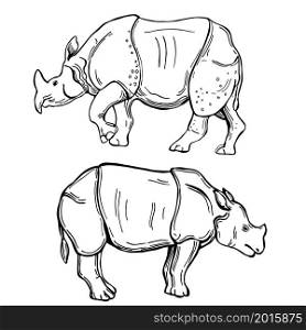 Hand drawn indian rhinoceros. Vector sketch illustration.