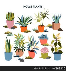 Hand drawn indoor and outdoor landscape garden potted plants collection isolated on white background.