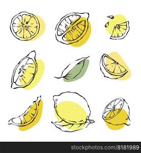 Hand drawn ink line Lemon slices, leaves and seads set with abstract color spots. Vector citrus fruit design elements collection on white background.