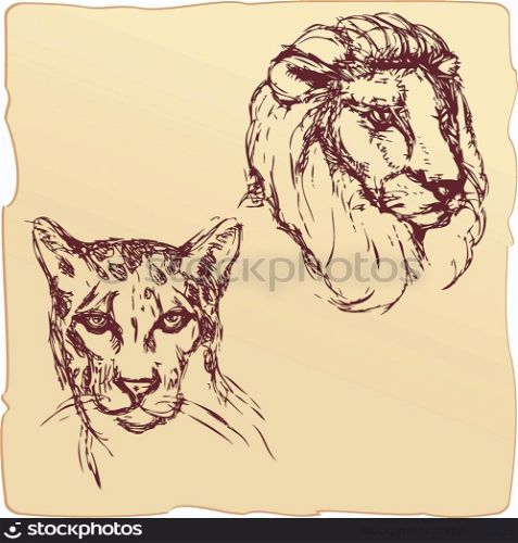 hand drawn ink portrait sketch of lion and cheetah heads