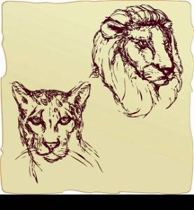 hand drawn ink portrait sketch of lion and cheetah heads