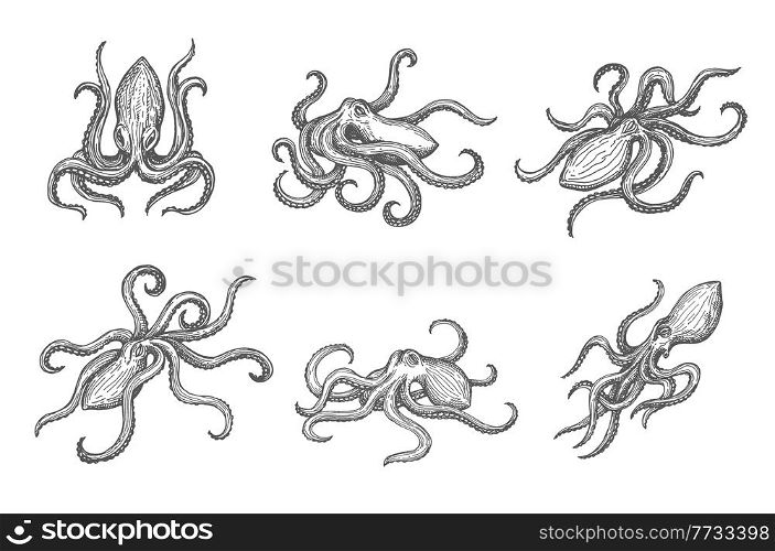 Hand drawn isolated octopus, sea animal or ocean kraken vector sketch. Ocean octopus or monster kraken with tentacles in monochrome engraving or woodcut etching sketch. Hand drawn isolated octopus sketch, sea kraken