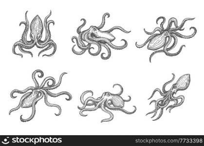 Hand drawn isolated octopus, sea animal or ocean kraken vector sketch. Ocean octopus or monster kraken with tentacles in monochrome engraving or woodcut etching sketch. Hand drawn isolated octopus sketch, sea kraken